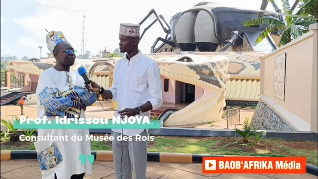 interview du professeur Idrissou Njoya Durand Biyong